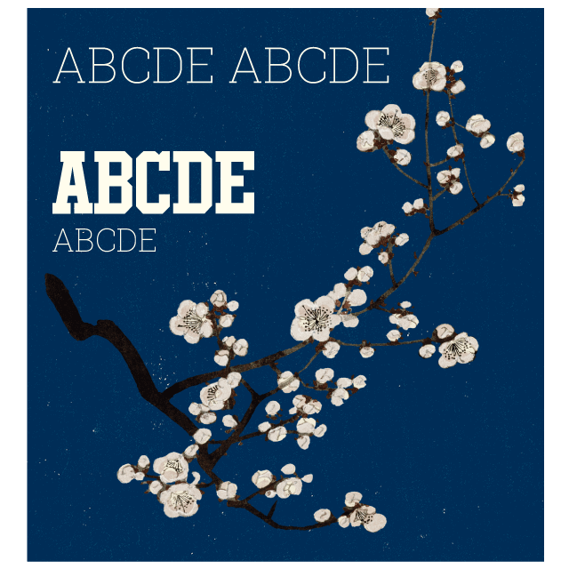 デザインテンプレート 13798