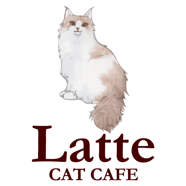 デザインテンプレート 15900