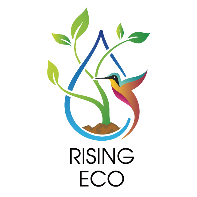 デザインテンプレート 16973