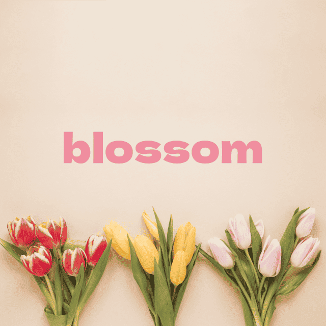 デザインテンプレート 17131