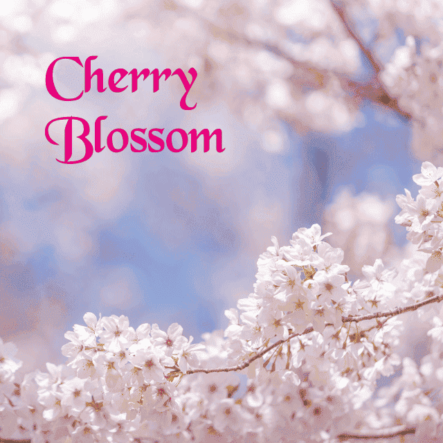 デザインテンプレート 17134