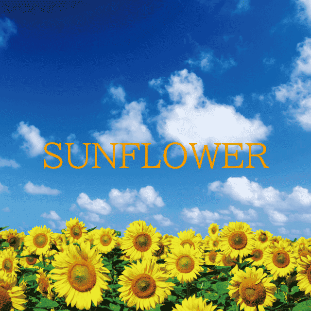 デザインテンプレート 17136