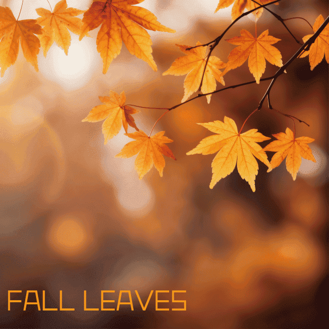 デザインテンプレート 17142