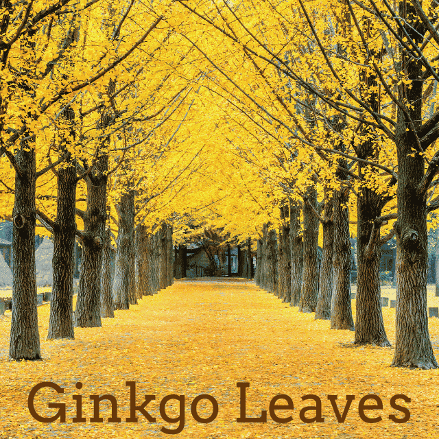 デザインテンプレート 17143