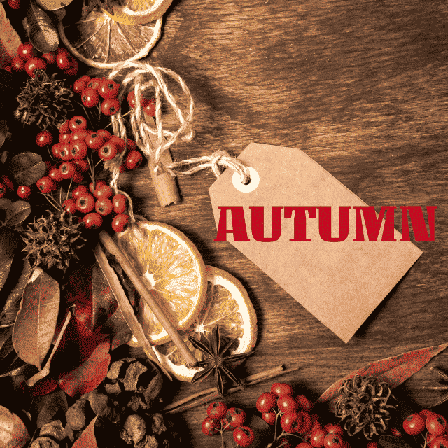 デザインテンプレート 17145