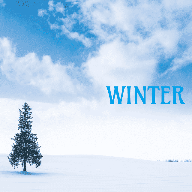 デザインテンプレート 17147