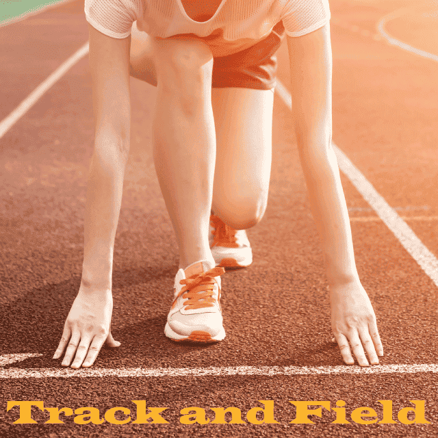 デザインテンプレート 17166