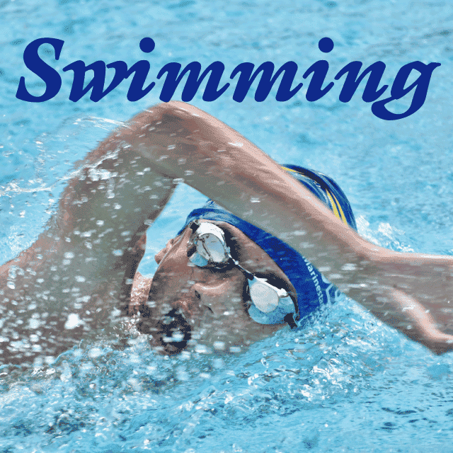 デザインテンプレート 17168