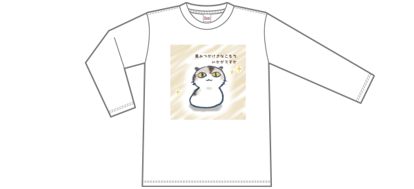 長袖ナイスTシャツの商品レビュー画像